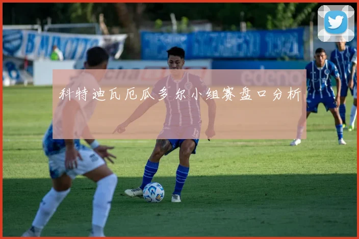 科特迪瓦厄瓜多尔小组赛盘口分析