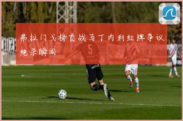 弗拉门戈榜首战马丁内利红牌争议绝杀瞬间