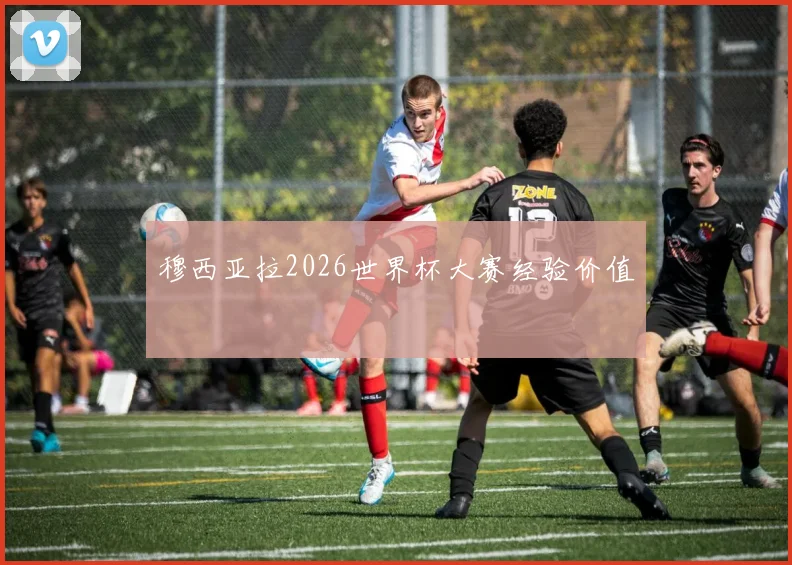 穆西亚拉2026世界杯大赛经验价值