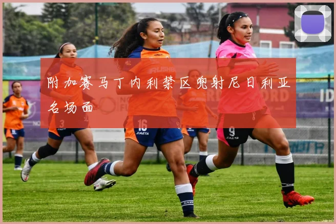 附加赛马丁内利禁区兜射尼日利亚名场面