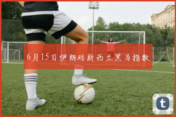 6月15日伊朗对新西兰黑马指数