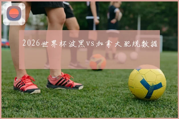2026世界杯波黑vs加拿大犯规数据