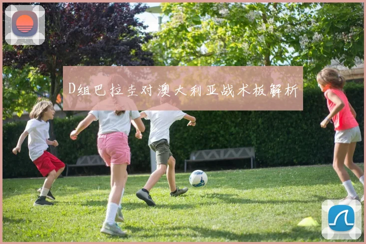 D组巴拉圭对澳大利亚战术板解析