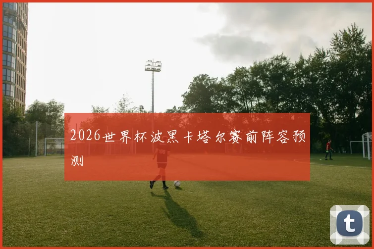 2026世界杯波黑卡塔尔赛前阵容预测